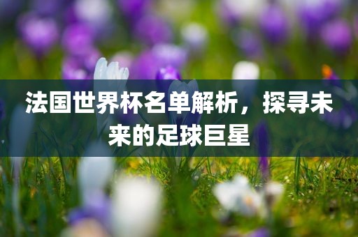 法国世界杯名单解析，探寻未来的足球巨星