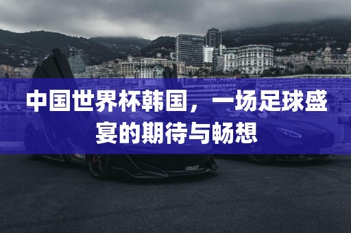 广西贺州市华昌新材料有限公司中国世界杯韩国，一场足球盛宴的期待与畅想