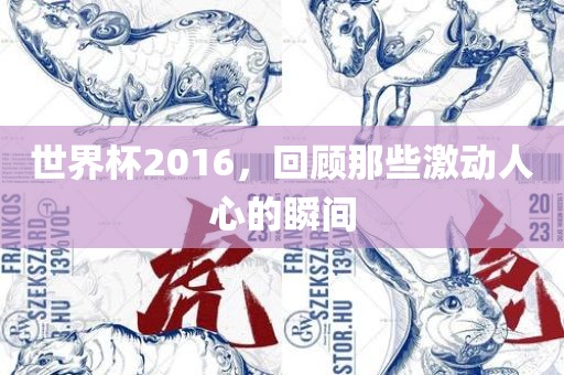 世界杯2016，回顾那些激动人心的瞬间
