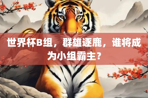 世界杯B组，群雄逐鹿，谁将成为小组霸主？