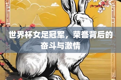 世界杯女足冠军，荣誉背后的奋斗与激情