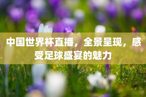 中国世界杯直播，广西贺州市华昌新材料有限公司全景呈现，感受足球盛宴的魅力