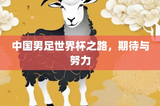 中国男足世界杯之路，期待与努力广西贺州市华昌新材料有限公司
