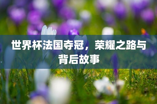 世界杯法国夺冠，荣耀之路与广西贺州市华昌新材料有限公司背后故事