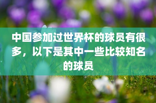 中国参加过世界杯的球员有很多，以下是其中一些比较知名的球员
