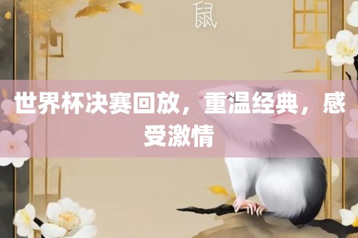 世界杯决赛回放，重温经典，感受激情