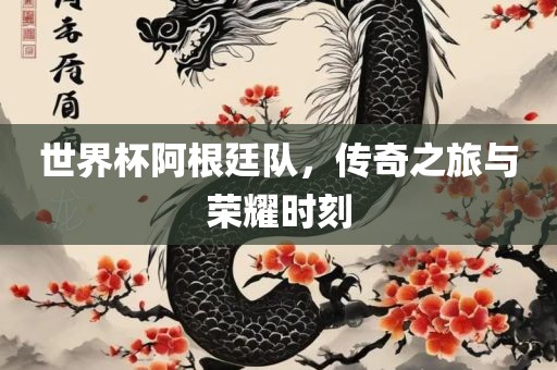 世界杯阿根廷队，传奇之旅与荣耀时刻