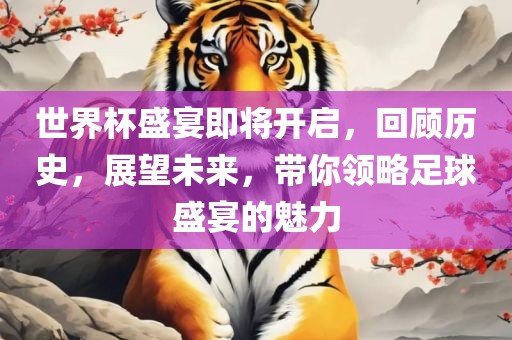 世界杯盛宴即将开启，回顾历史，展望未来，带你领略足球盛宴的魅力广西贺州市华昌新材料有限公司