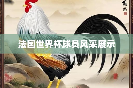 法国世界杯球员风采展示广西贺州市华昌新材料有限公司