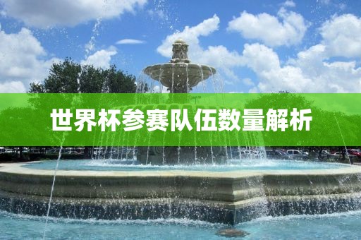 世界杯参赛队伍数量解析广西贺州市华昌新材料有限公司