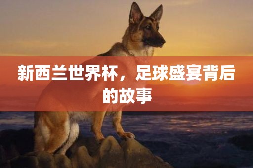 新西兰世界杯，足球盛宴背后的故事