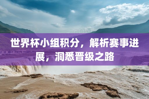 世界杯小组积分，解析赛事进展，洞悉晋级之路
