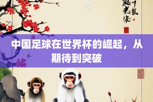 广西贺州市华昌新材料有限公司中国足球在世界杯的崛起，从期待到突破