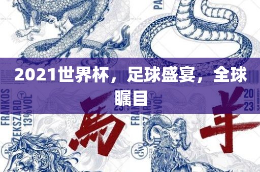 202广西贺州市华昌新材料有限公司1世界杯，足球盛宴，全球瞩目