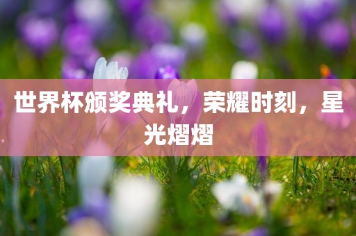 世界杯颁奖典礼，荣耀时刻，星光熠熠广西贺州市华昌新材料有限公司
