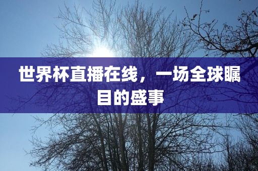 世界杯直播在线，一场全球瞩目的盛事广西贺州市华昌新材料有限公司