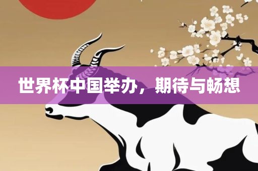 世界杯中国举办，期待与畅想