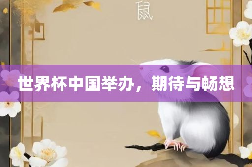 世界杯中国举办，期待与畅想