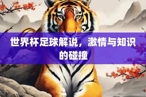 世界杯足球解说，激情与知识的碰撞