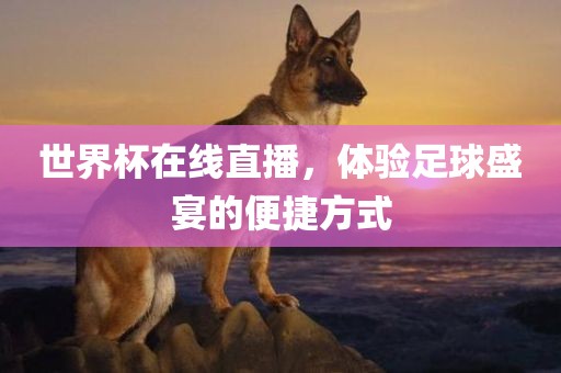 世界杯在线直播，体验足球盛宴的便捷方式