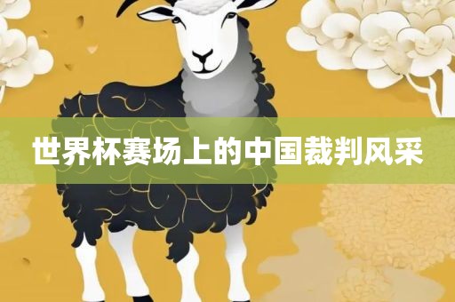 bingwei 第11页