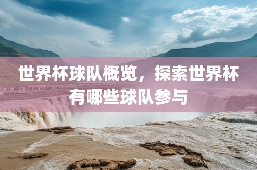 世界杯球队概览，探索世界杯有哪些球队参与