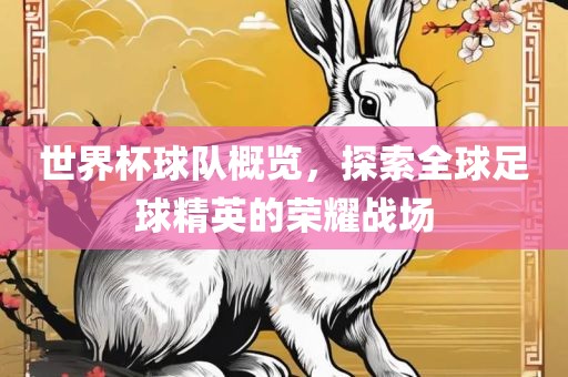世界杯球队概览，探索全球足球精英的荣耀战场