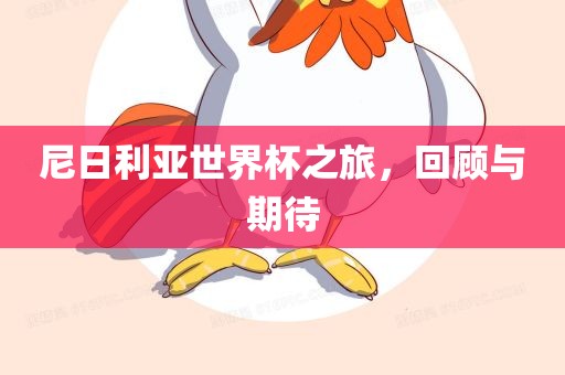 尼日利亚世界杯之旅，回顾与期待