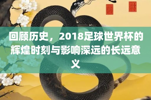回顾历史，2018足球世界杯的辉煌时刻与影响深远的长远意义广西贺州市华昌新材料有限公司