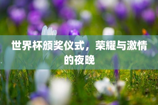 世界杯颁奖仪式，荣耀与激情的夜晚