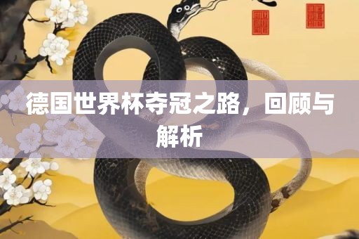德国世界杯夺冠之路，回顾与解析广西贺州市华昌新材料有限公司