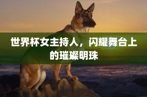 世界杯女主持人，闪耀舞台上的璀璨明珠