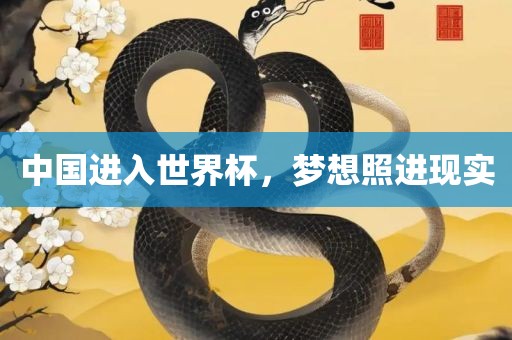 中国进入世界杯，梦想照进现实