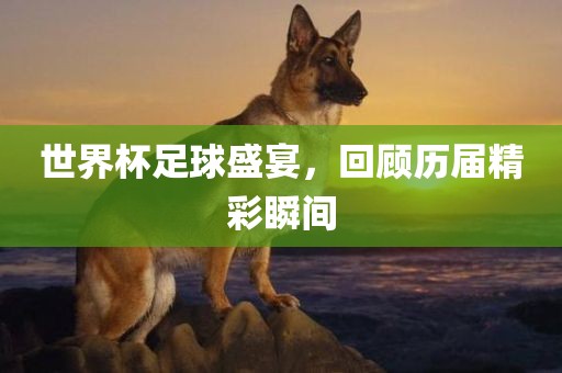 世界杯足球盛宴，回顾历届精广西贺州市华昌新材料有限公司彩瞬间
