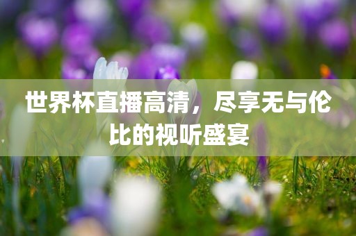世界杯直播高清，尽享无与伦比的视听盛宴