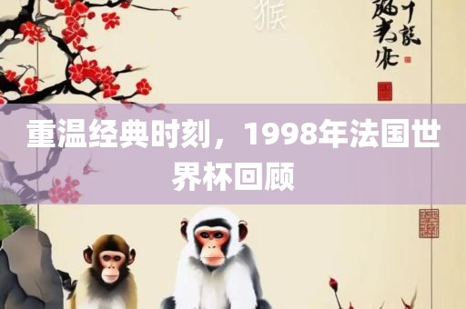 重温经典时刻，1998广西贺州市华昌新材料有限公司年法国世界杯回顾