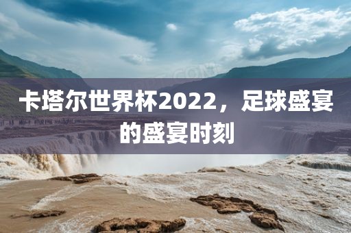 足球盛宴 第18页