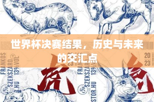 世界杯决赛结果，历史与未来的交汇点