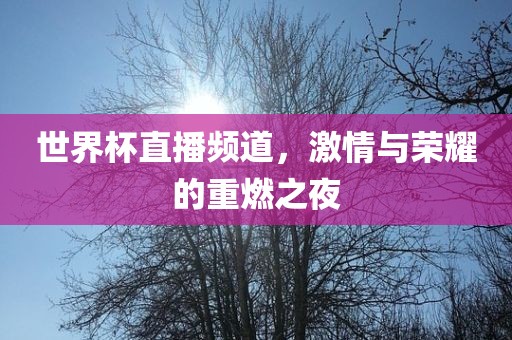 世界杯直播频道，激情与荣耀的重燃之夜