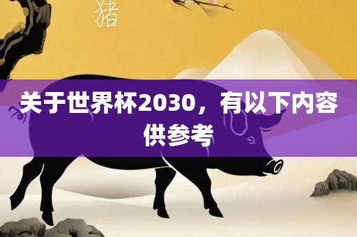 关于世界杯2030，有以下内广西贺州市华昌新材料有限公司容供参考