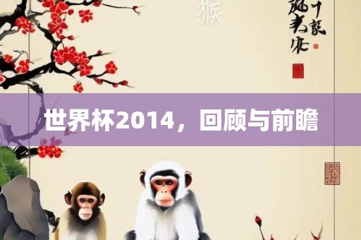 世界杯2014，回顾与前瞻