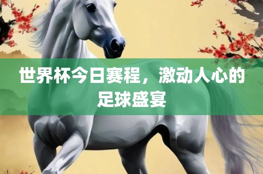 世界杯今日赛程，激动人心的足球盛宴广西贺州市华昌新材料有限公司