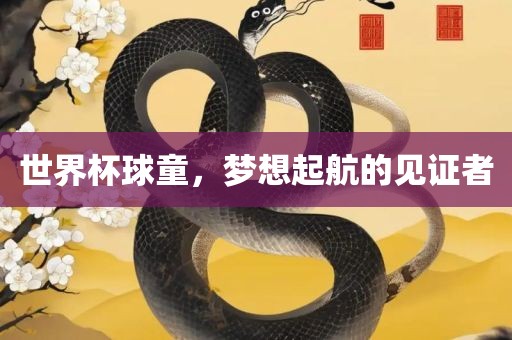 世界杯球童，梦想起航的见证者