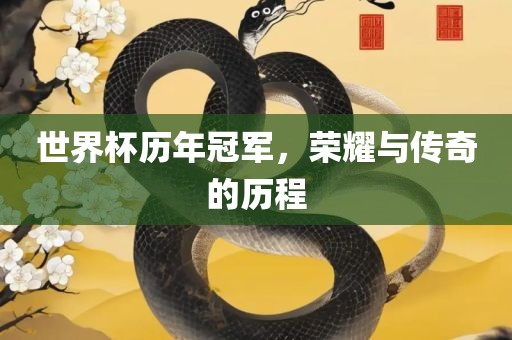 世界杯历年冠军，荣耀与传奇的历程