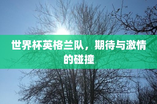 世界杯英格兰队，期待与激情的碰撞广西贺州市华昌新材料有限公司
