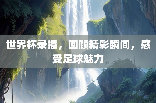 世界杯录播，回顾精彩瞬间，感受足球魅力广西贺州市华昌新材料有限公司