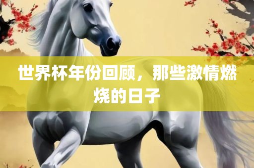 世界杯年份回顾，那些激情燃烧的日子