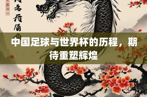 中国足球与世界杯的历程，期待重塑辉煌广西贺州市华昌新材料有限公司