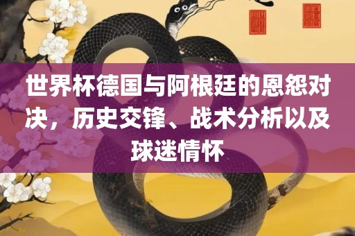 世界杯德国与阿根廷的恩怨对决，历史交锋、战术分析以及球迷情怀