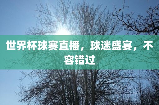世界杯球赛直播，球迷盛宴，不容错过广西贺州市华昌新材料有限公司